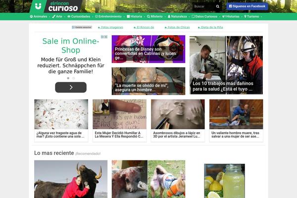 elrinconcurioso.com site used CoziPress