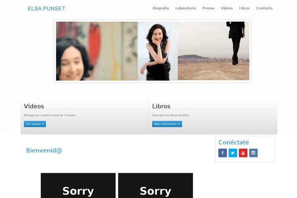 Site using CPO Widgets plugin