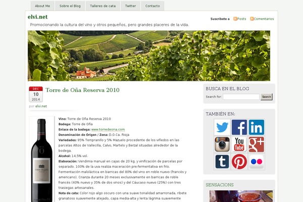 Misty Look theme site design template sample