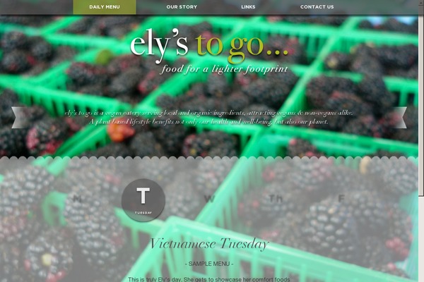 elystogo.com site used Ely