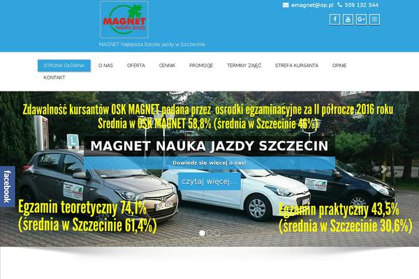 Enigma theme site design template sample