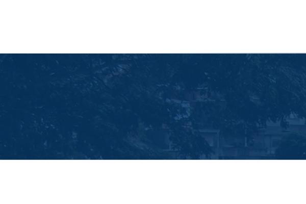 Site using Sticky Menu (or Anything!) on Scroll plugin
