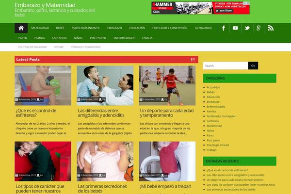 embarazoymaternidad.info site used Promaxpro