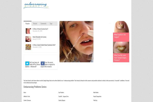 FlyingNews theme site design template sample