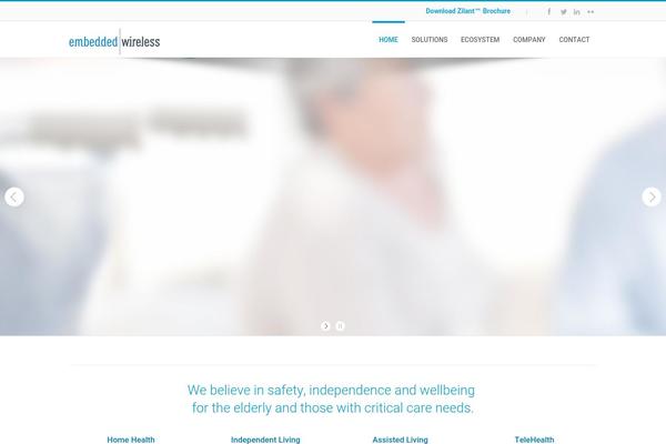 Maximus theme site design template sample