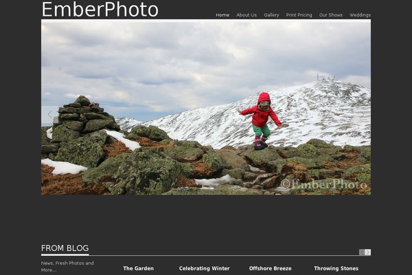 Albedo theme site design template sample