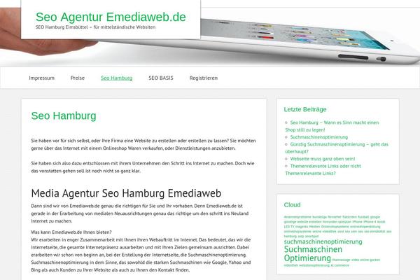Zeemintypro theme site design template sample