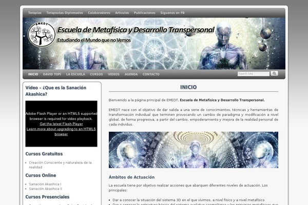 Total-plus theme site design template sample