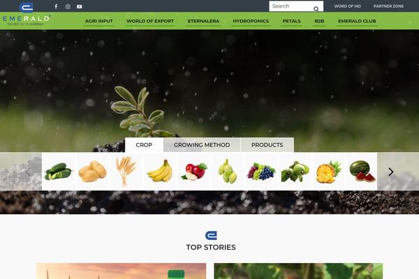 Xtra-child theme site design template sample