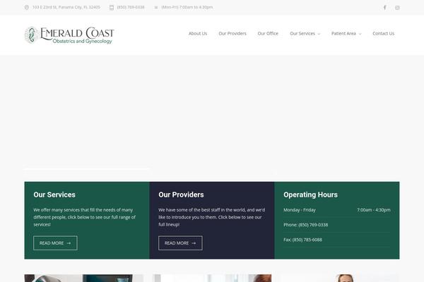 MediCenter theme site design template sample