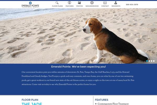 Momento theme site design template sample