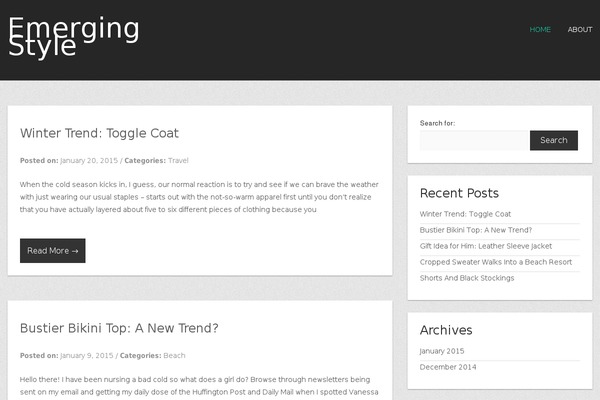 Nova Lite theme site design template sample