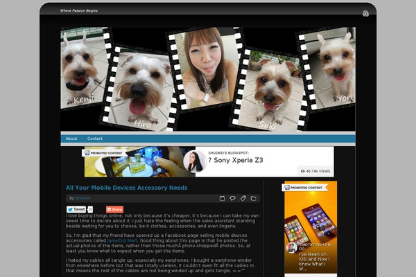 Shiword theme site design template sample