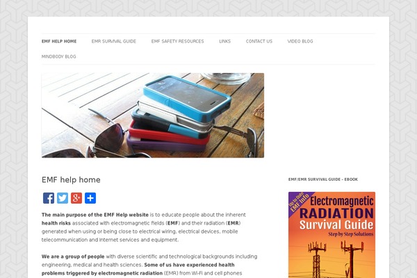 Twenty Twelve theme site design template sample