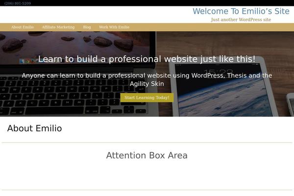 emiliokim.com site used Thesis