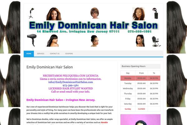 Iconic One theme site design template sample