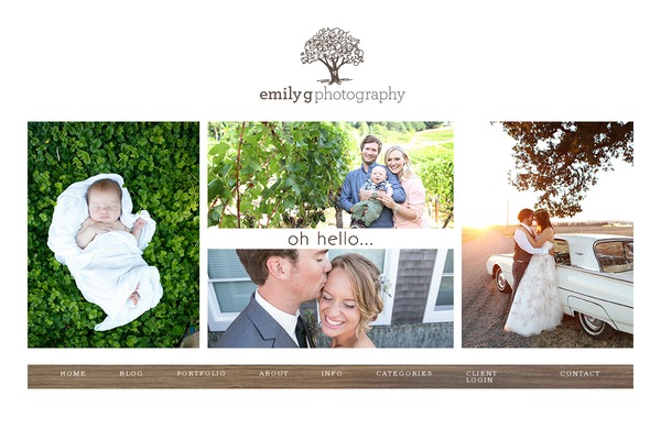 ProPhoto 5 theme site design template sample
