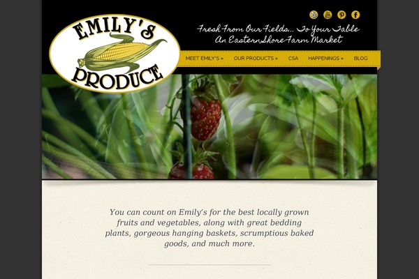 Special-theme theme site design template sample