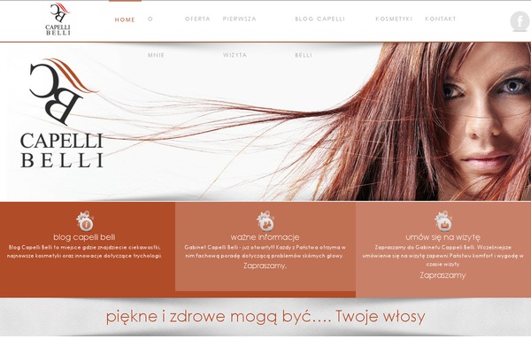Site using Column Posts plugin