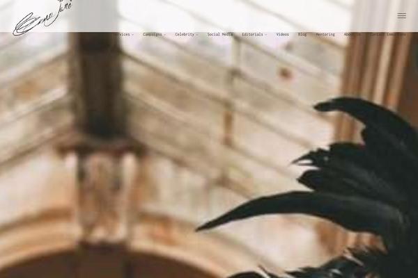 Site using Awesome-gallery plugin