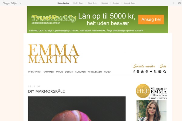 Bd-oneclick-premium theme site design template sample