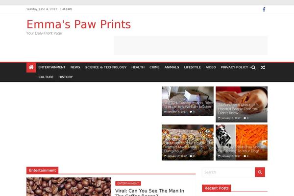 Colormag-pro theme site design template sample