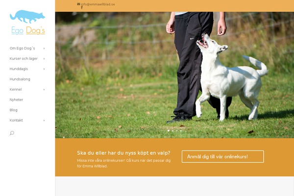 Divi theme site design template sample