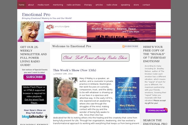 Misty Look theme site design template sample