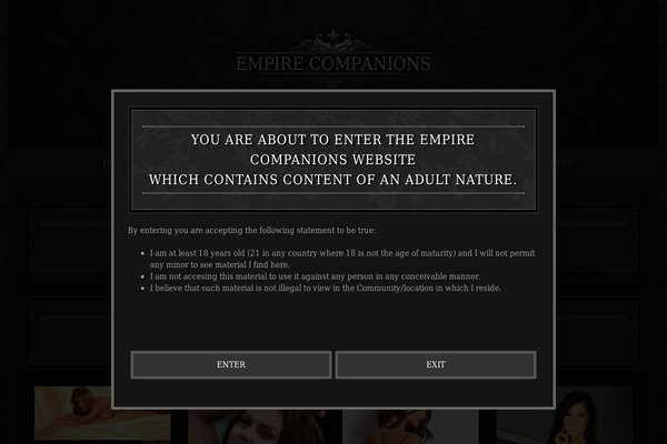 Theagency-v2 theme site design template sample