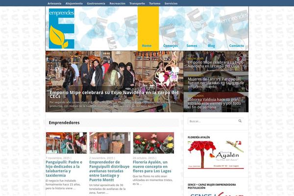 Delicious Magazine theme site design template sample
