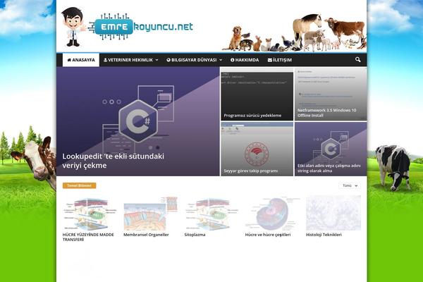 Newsmag Child theme site design template sample