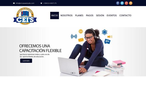 ceis theme websites examples