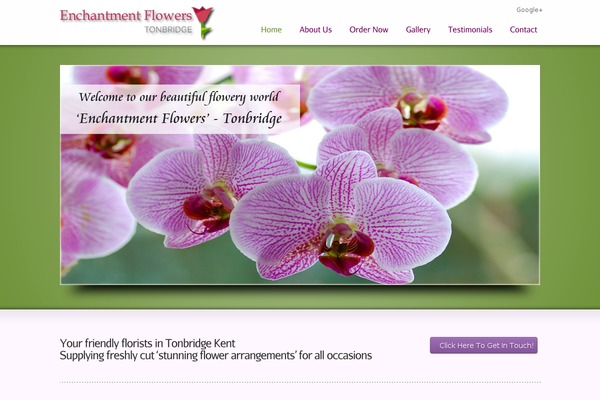 enchantmentflowers.com site used Striking