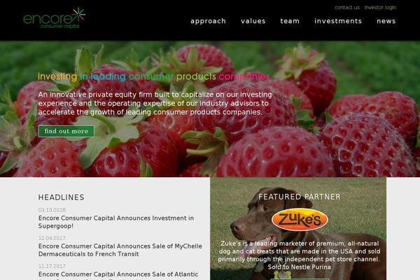 Site using Video.js - HTML5 Video Player for WordPress plugin