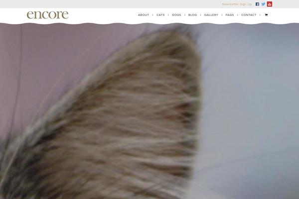 Encore theme site design template sample