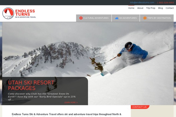 Endless theme site design template sample