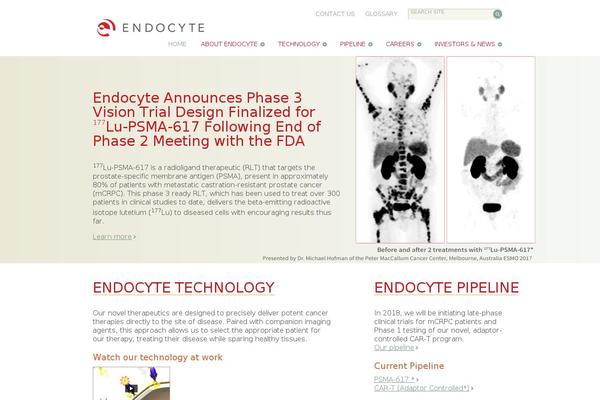 Site using Custom-editor-styles plugin
