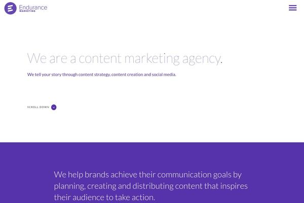 Endurance theme site design template sample