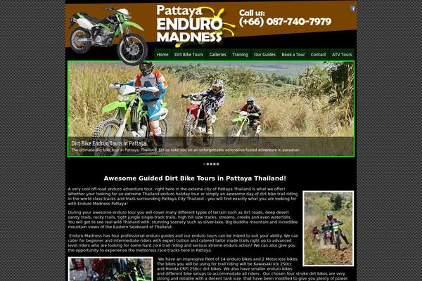 Leadescent theme site design template sample