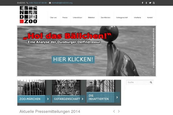 Kora theme site design template sample