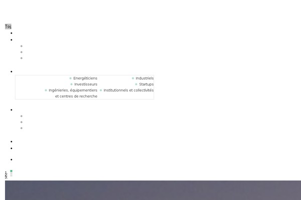 enea theme websites examples