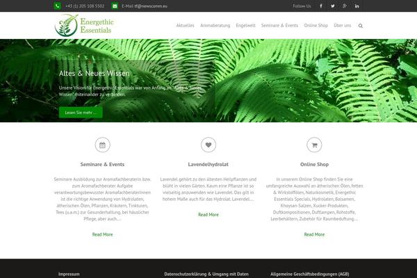 THBusiness theme site design template sample