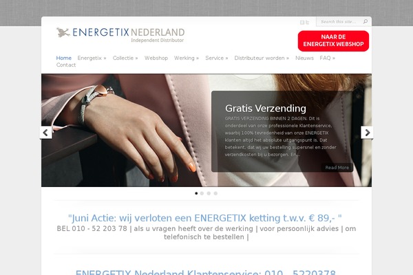 Chameleon theme site design template sample