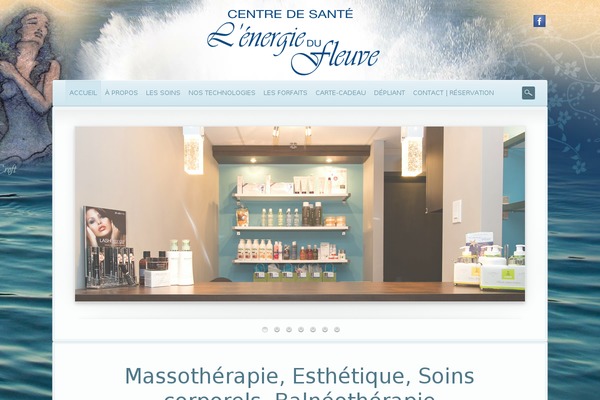 Dejavu theme site design template sample