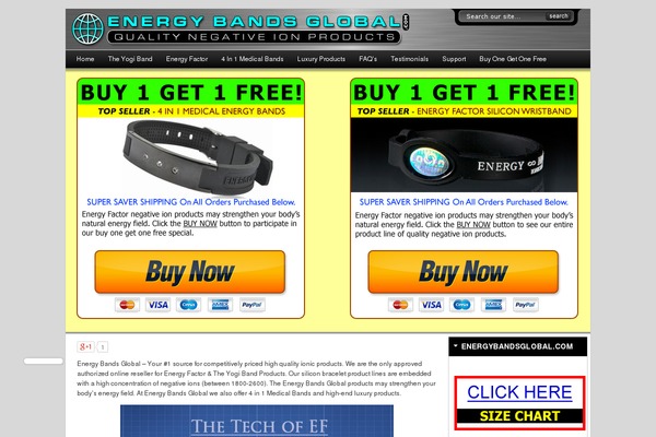 energybandsglobal.com site used Flexibility3