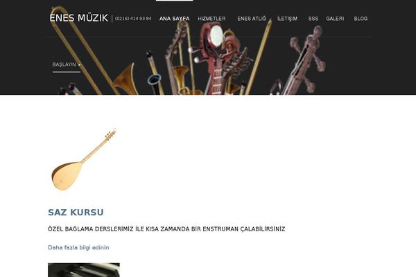 Polished theme site design template sample