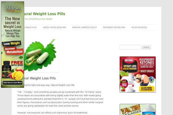 Twenty Twelve theme site design template sample