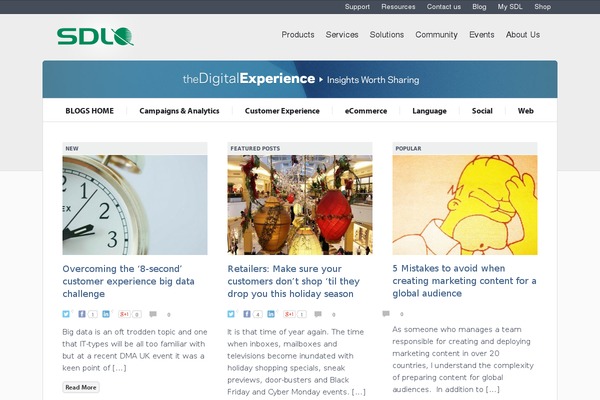 News Pro theme site design template sample