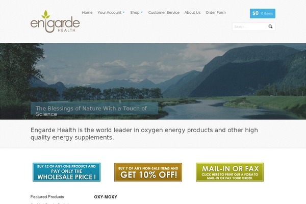 Whitelight theme site design template sample