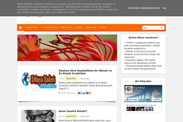 enginbilgi.com site used Deals